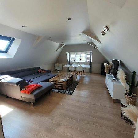 Loft Spacieux Et Lumineux Oloron-Sainte-Marie Esterno foto
