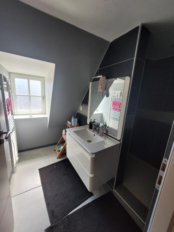 Loft Spacieux Et Lumineux Oloron-Sainte-Marie Esterno foto
